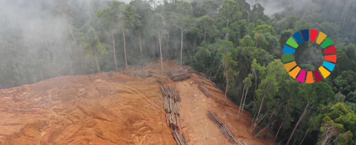 UNICRI Joins Nature Crime Alliance Amid Growing Focus on Illegal Mining