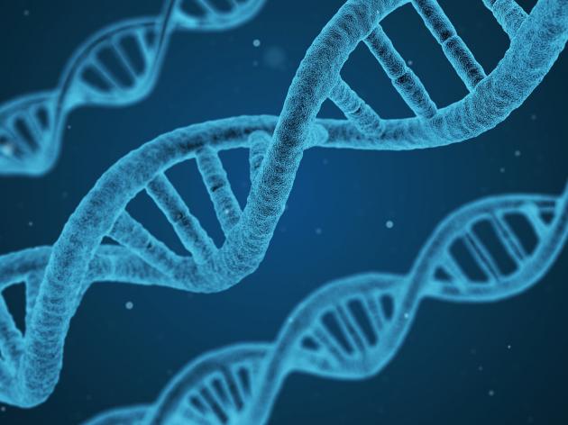 International Network on Biotechnology (INB)