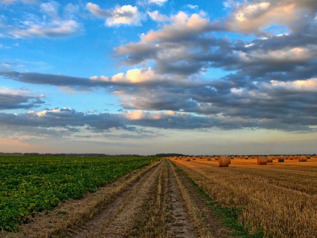 Food security