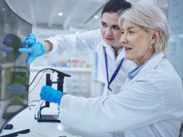 The Women in Chemistry Network